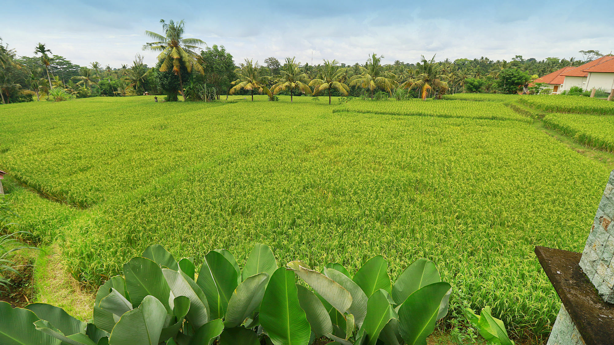 Bisma Cottages Ubud Esterno foto