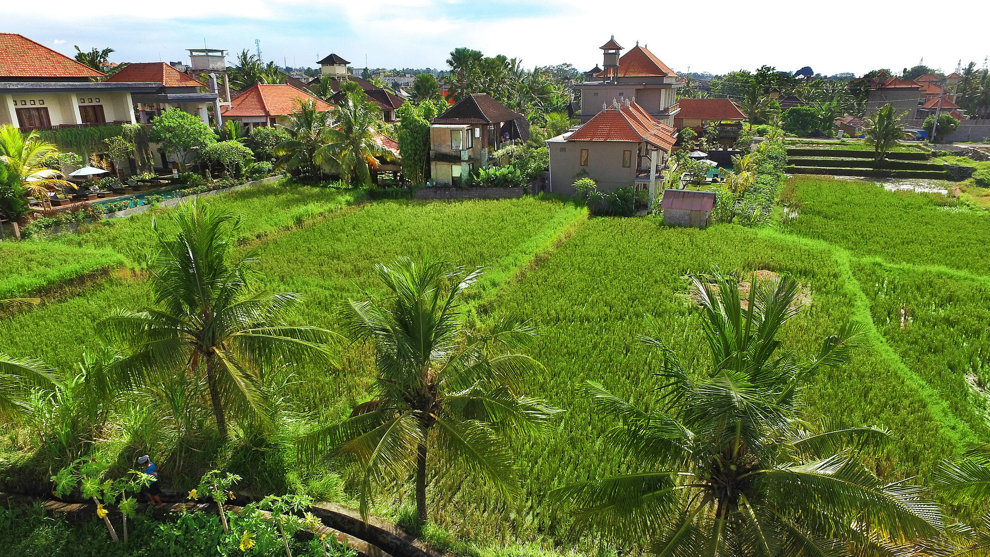 Bisma Cottages Ubud Esterno foto
