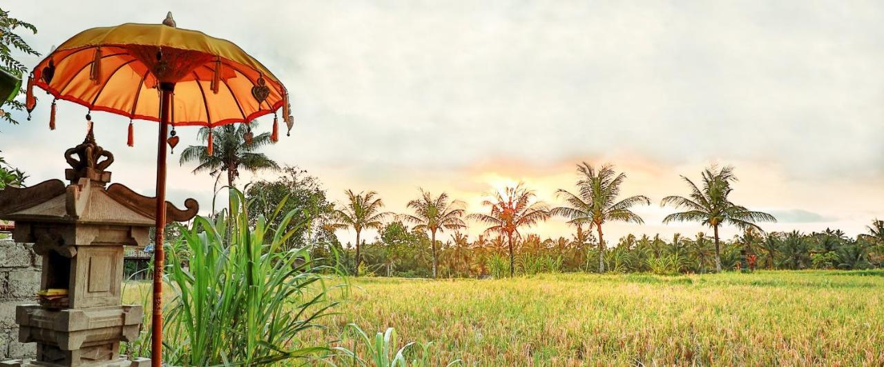 Bisma Cottages Ubud Esterno foto